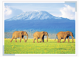 amboseli