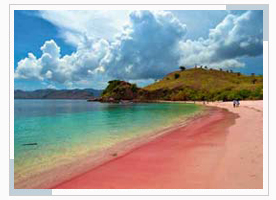 Pink beach