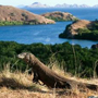 Komodo National Park