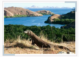 Komodo National Park