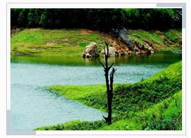 munnar-packages