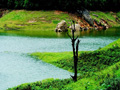 munnar-tour-packages