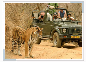 ranthambhore-golden-triangle